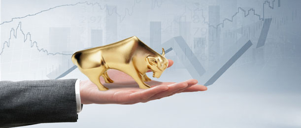 ��������(�й�)���޹�˾����